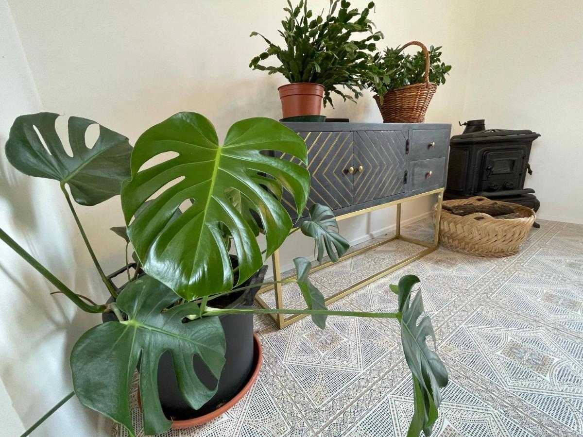 Cilka'S House, Authentic Homestay Near Lipica Sezana Ngoại thất bức ảnh